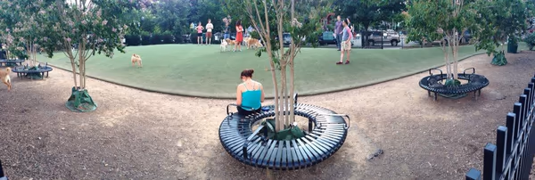 S Street Dog Park photo 2